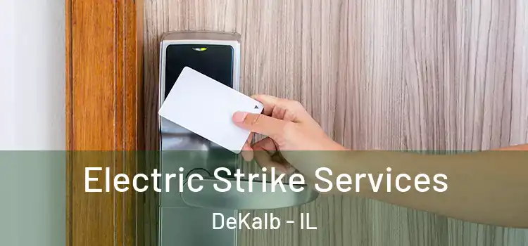  Electric Strike Services DeKalb - IL