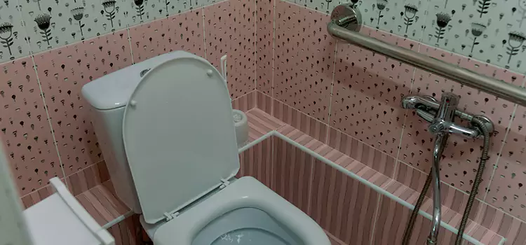Meeting Diverse Needs With Accessible Restroom Solutions in DeKalb, IL