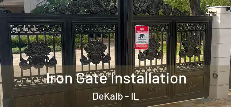 Iron Gate Installation DeKalb - IL