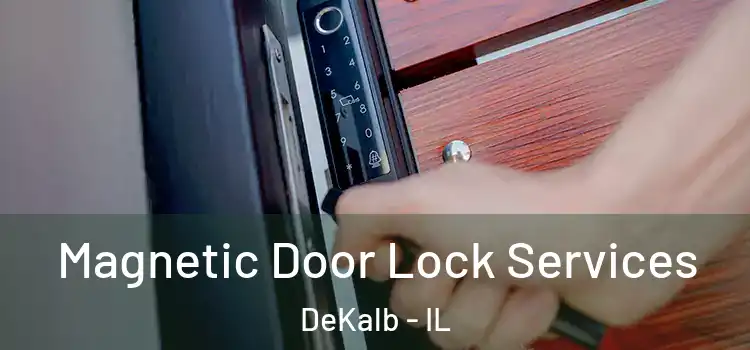  Magnetic Door Lock Services DeKalb - IL