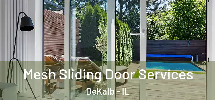  Mesh Sliding Door Services DeKalb - IL