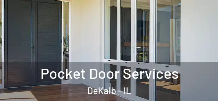 Pocket Door Services DeKalb - IL